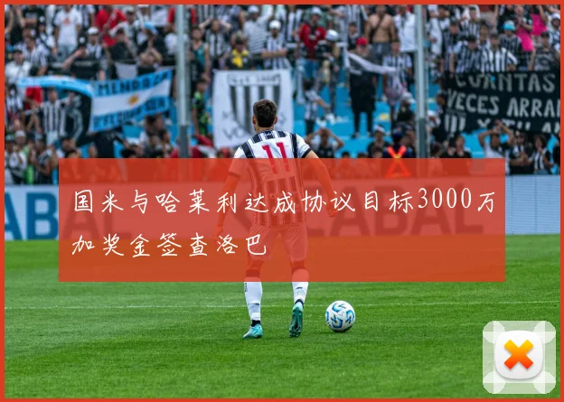 国米与哈莱利达成协议目标3000万加奖金签查洛巴